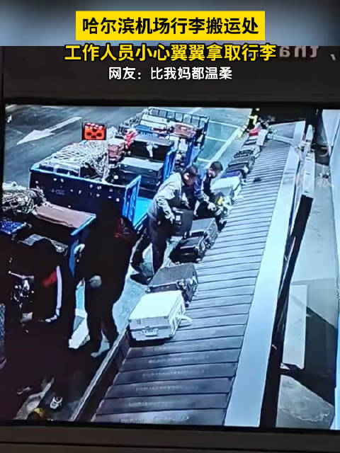 哈尔滨机场行李搬运处,工作人员小心翼翼拿取行李……|行李|哈尔滨机场_新浪新闻