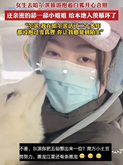 女生去哈尔滨旅游抱着白狐开心合照……|狐狸|哈尔滨市|黑龙江省|黑龙江|小姐姐_新浪新闻