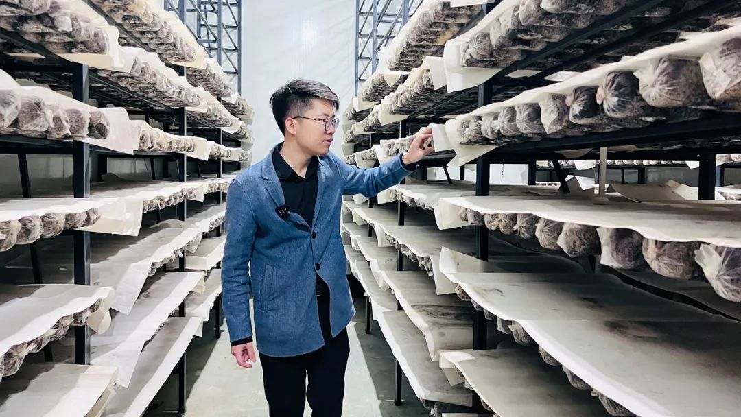 2024年古田人口_福建日报专版聚焦古田:以菌立县山城振兴(2)