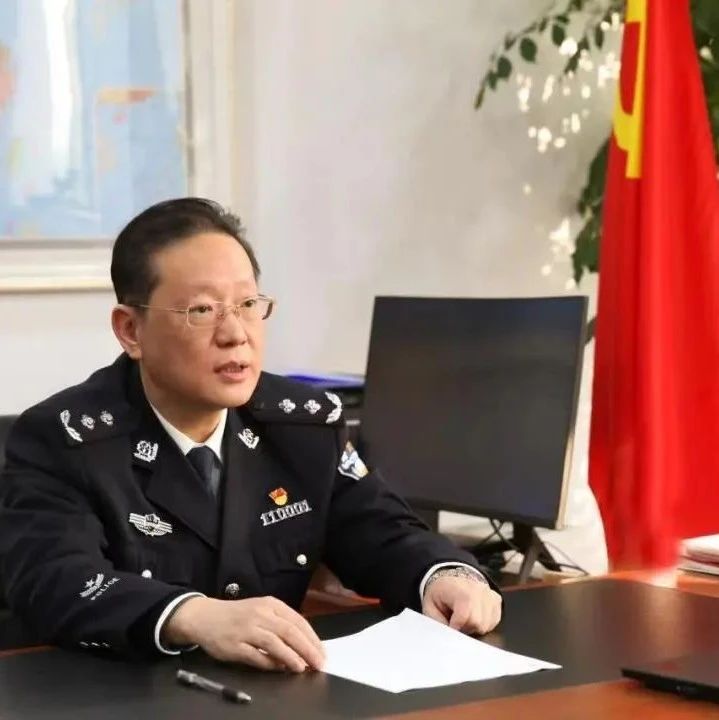 女公安局长小说