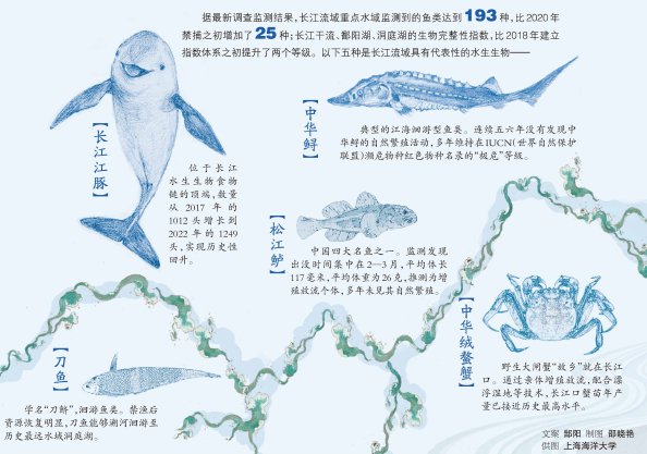2021年1月1日起,长江流域重点水域实行"十年禁渔",开启了全球大河流域