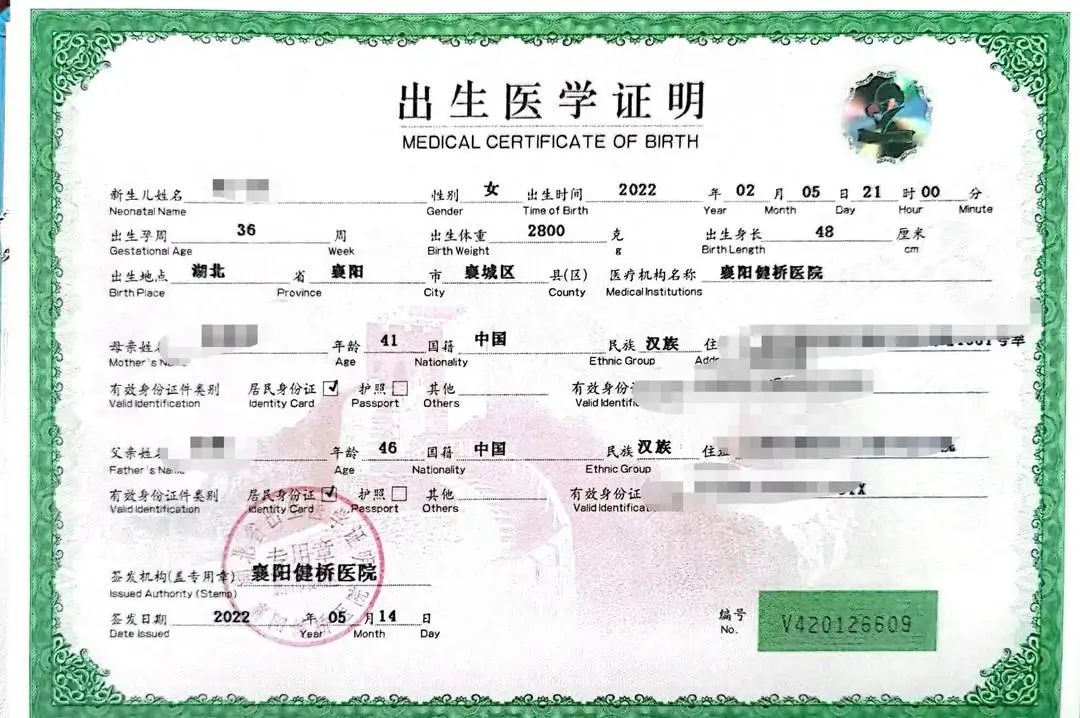 "双胞胎"出生证明之一 受访者 供图