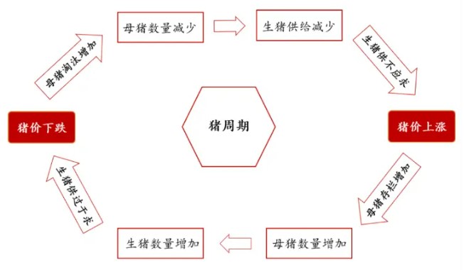 资料来源:东莞证券研究所。