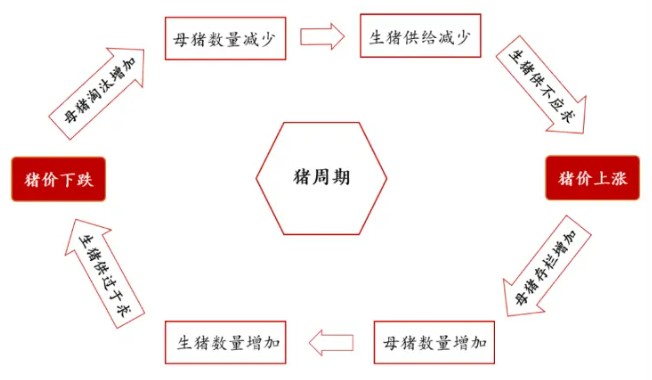 资料来源：东莞证券研究所。