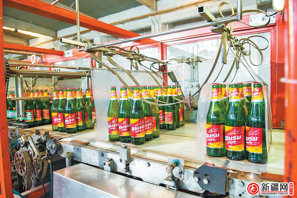 在新疆乌苏啤酒有限责任公司，一箱箱乌苏啤酒“走”下生产线“，奔”向市场。（全媒体记者王丽丽摄）