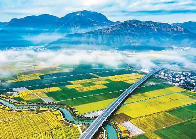 瑞安市马屿镇的田园风光.苏立锁摄