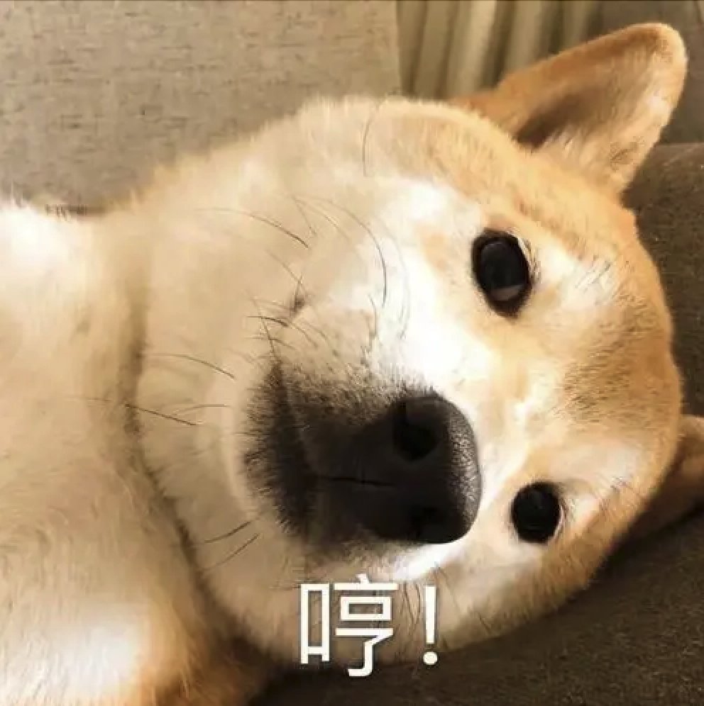 狗狗表情包|狗狗表情_新浪新闻