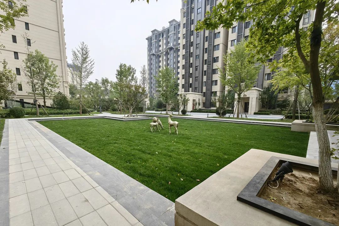 建邦顺颐府社区在海绵城市项目建设中,打造的下凹绿地.(资料图)