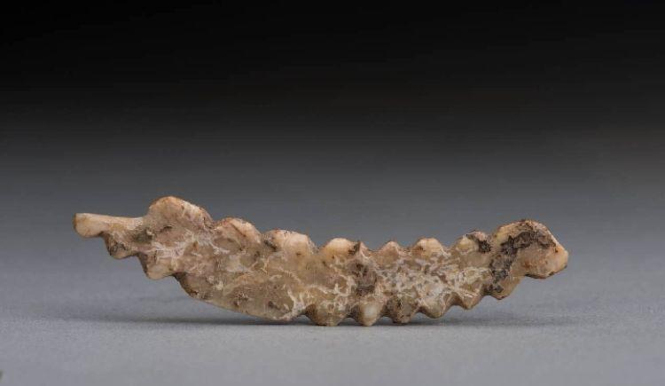 一周观展指南|在北京相遇西亚,在台北品鉴宋画_新浪财经_新浪网