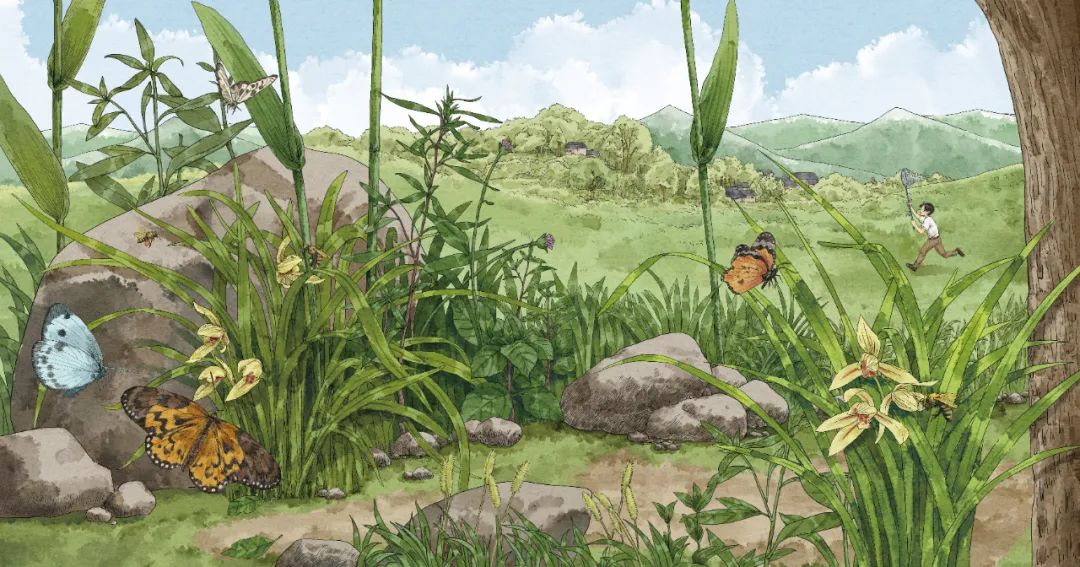 给中国孩子的自然科普绘本,从小培养观察力,科普人文两不误__财经头条