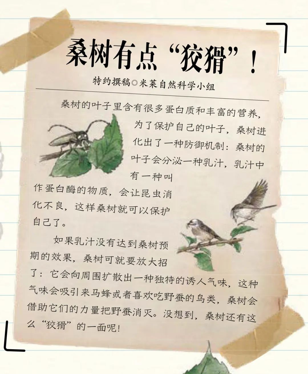 给中国孩子的自然科普绘本,从小培养观察力,科普人文两不误__财经头条