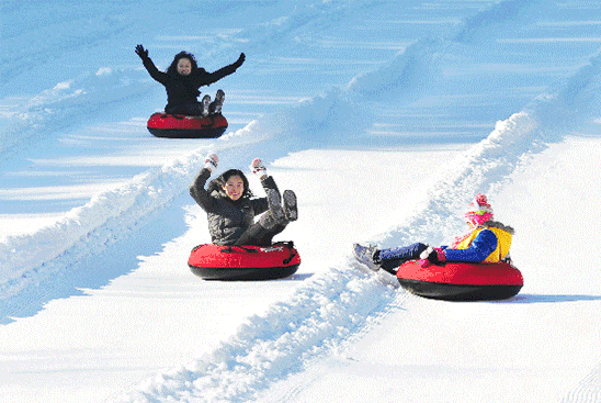 图/北京南海子公园