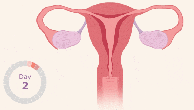 图片来源：Nemours KidsHealth