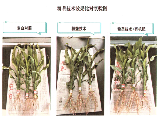 西宁湟源:粉垄技术"唤醒"盐碱地生产力