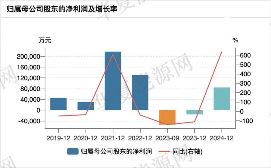 中化国际近五年净利润变化（含2024年预测；数据来源：Wind）
