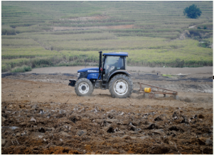 2024年耿马县人口_全程机械化云南耿马甘蔗产业提质增效