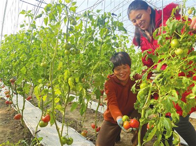 高效生態農業結碩果圖