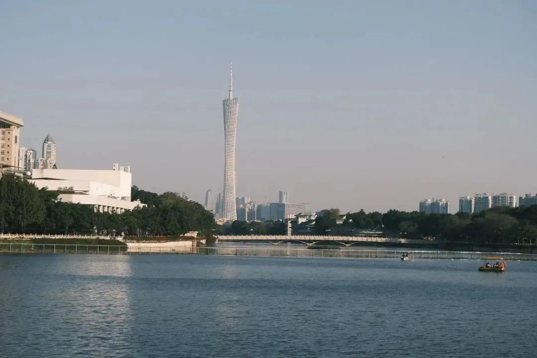 离职后，经常去散步的公园，受访者供图