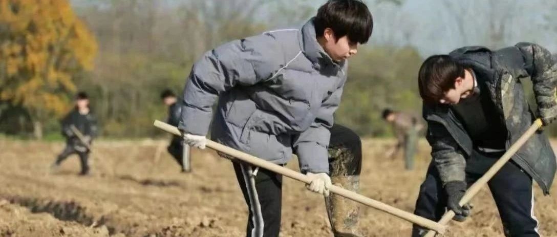 年轻人为什么不愿意种地了?|农民|陕西省_新浪新闻
