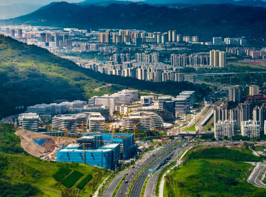 科学大道 科学谷区域 曾诚 摄