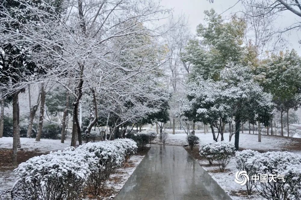 1月18日夜间起，河南汝州市区再次迎来雨雪天气，1月19日积雪明显，大地银装素裹。（图文/黎新民）