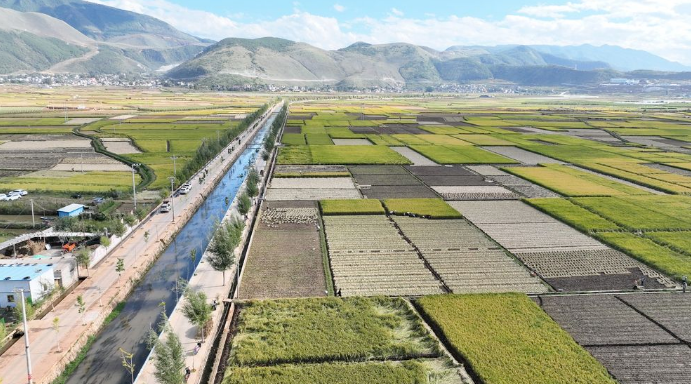 三个组织起来省委书记多次提及的白雾村这三点很关键