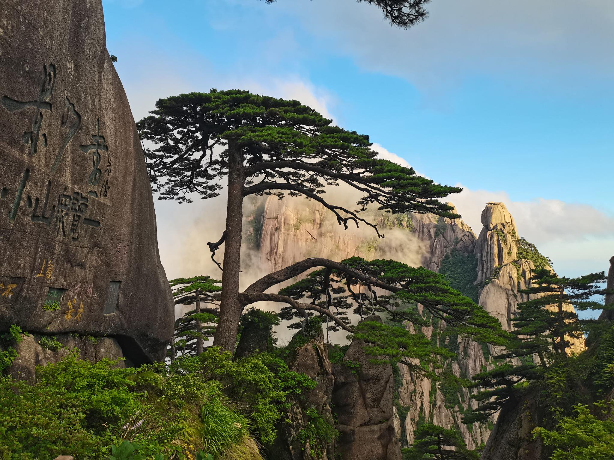 黄山迎客松