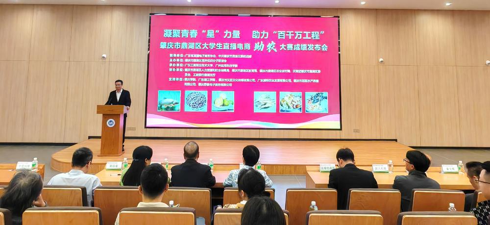 鼎湖seo整站优化