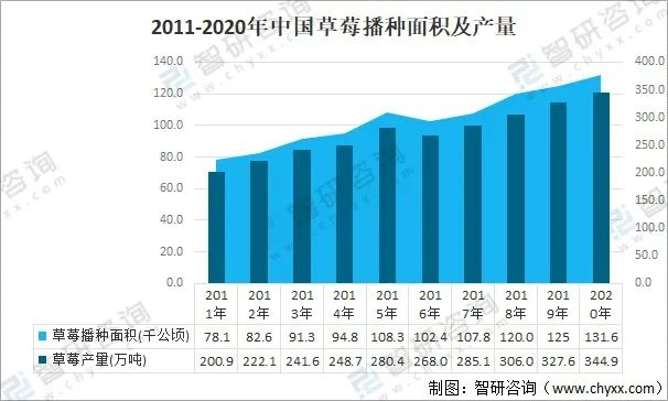 放眼世界,中国草莓产量后来居上,产量位居世界第一.(图/智研咨询)