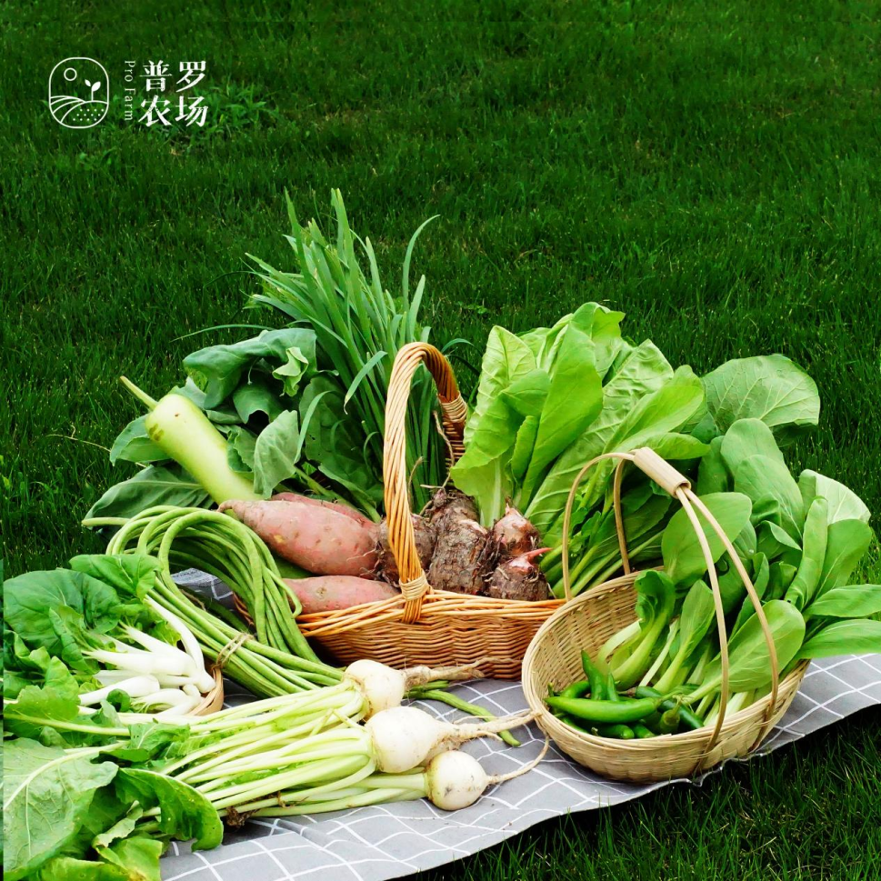 uncle徐的十年:江山万里是如何"炼"成的?_新浪财经_新浪网