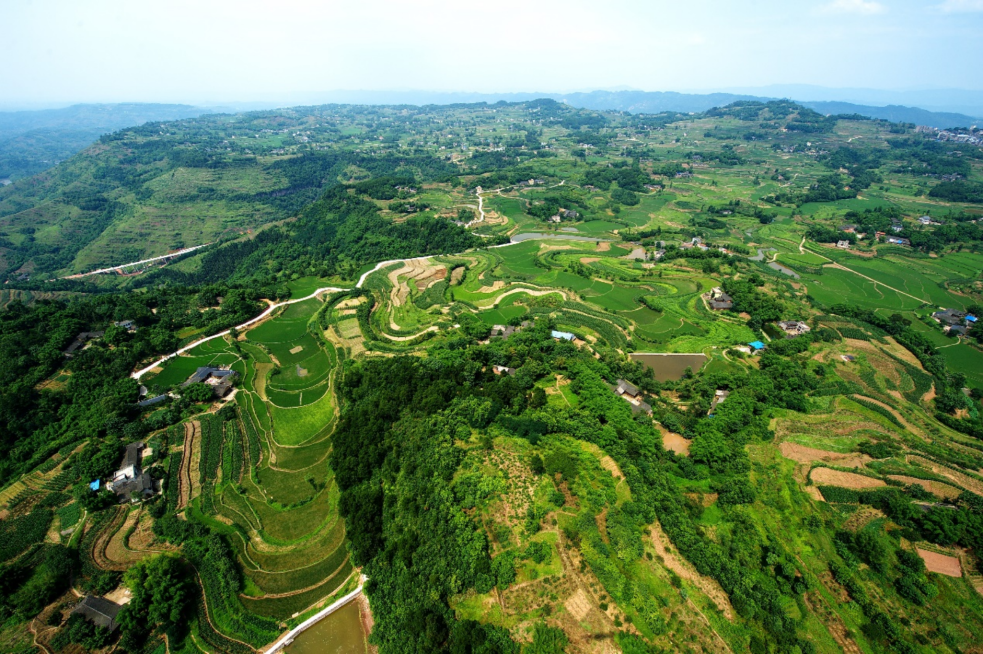 俯瞰江津区保坪村.(资料图)&nbsp;市农业农村委供图