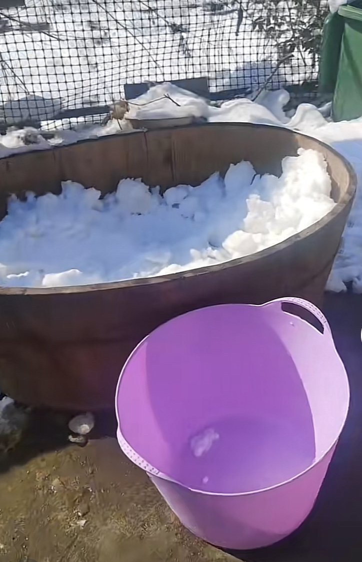 五一出行不踩坑！鸿蒙应用自带出游buff，逛吃游玩全拿捏