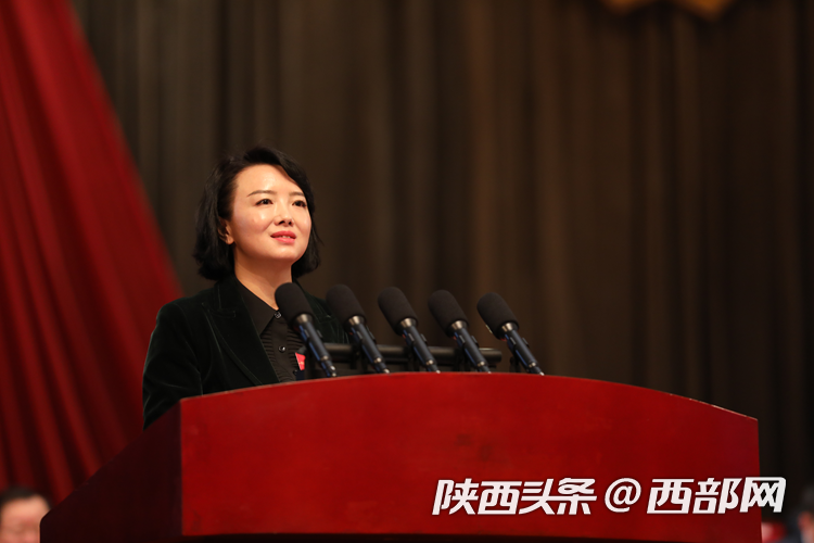 谢慧莹:建议支持汉中,延安,安康开通更多国内国际航线