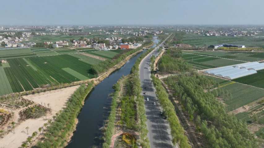 杞县:绿树成荫护民生 镌刻生态新画卷_新浪财经_新浪网