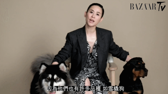 ▲此前宣萱以全英文发言，提议领养流浪狗