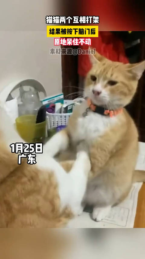 敌不动,我不动,一动不动是王八_新浪新闻
