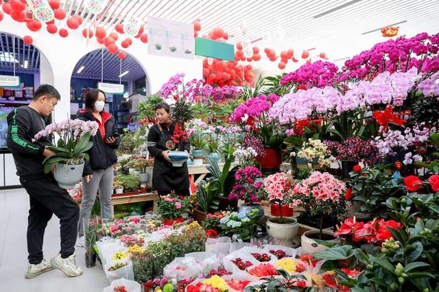 花展现场(主办方供图)