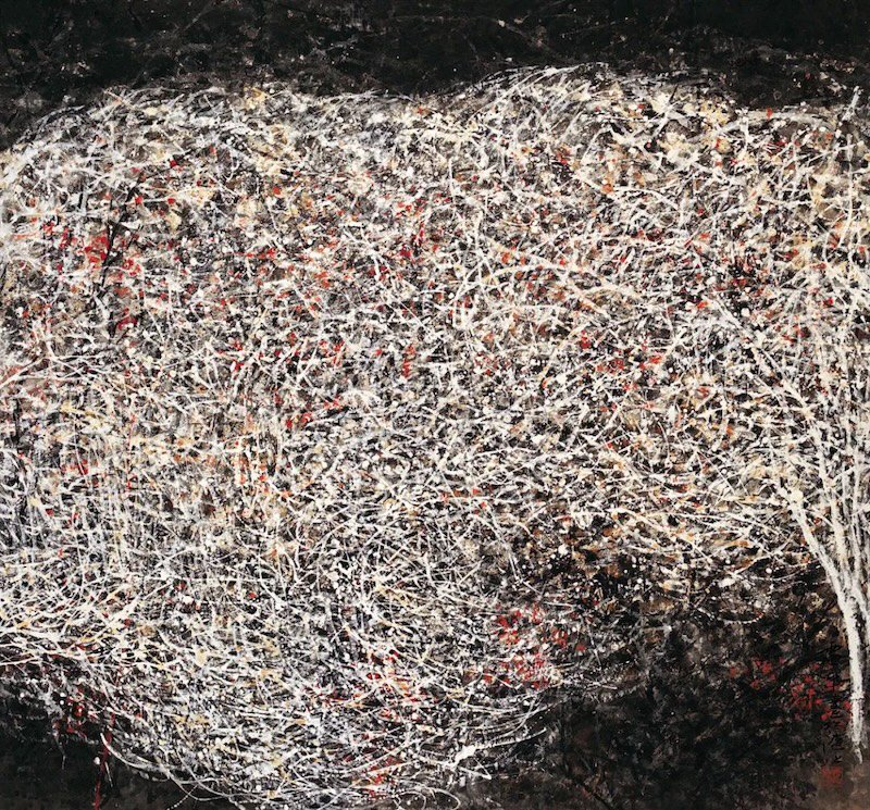 龙美术馆呈现"走走停停",看张雷平笔下的芦苇与礁石