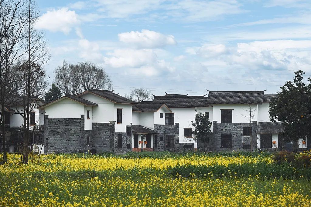 四川农村住宅&nbsp;图源 | 视觉中国