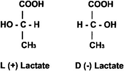 l-乳酸和d-乳酸.(图/sciencedirect)