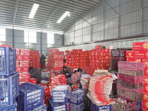 仓库内,当地农户在自己家苹果卖完之后,通过打包苹果挣钱. 刘浩 摄