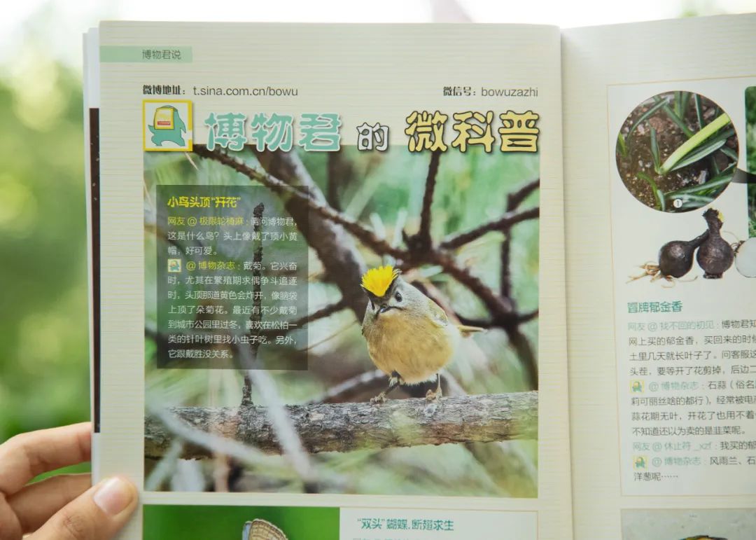 42岁郭晶晶养娃细节，罕见曝光：这才是真正的豪门“富养”