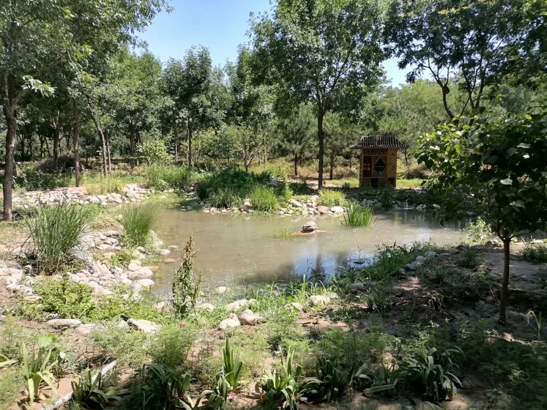 "十四五"北京将建成生态保育小区500余个