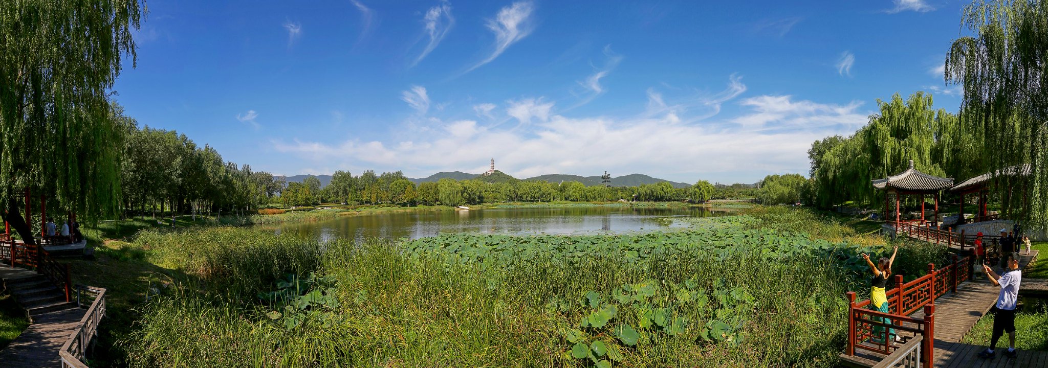 北坞公园据统计,依据《中华人民共和国湿地保护法》定义标准,北京湿地