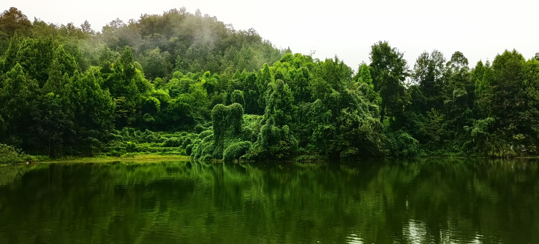 四川广安白云湖国家湿地公园
