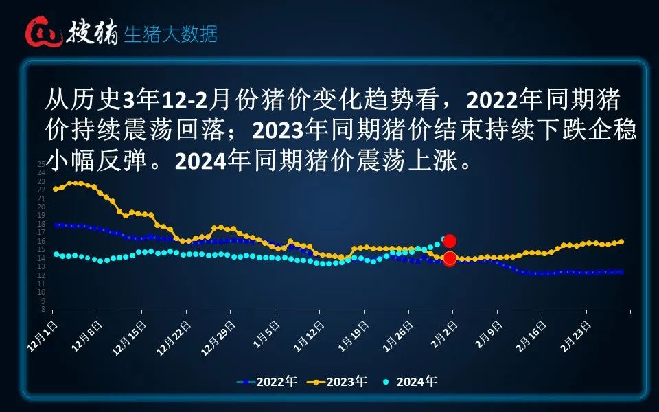 生猪现货日报|全国均价16.04元/公斤 市场集中出栏 屠宰大幅压价
