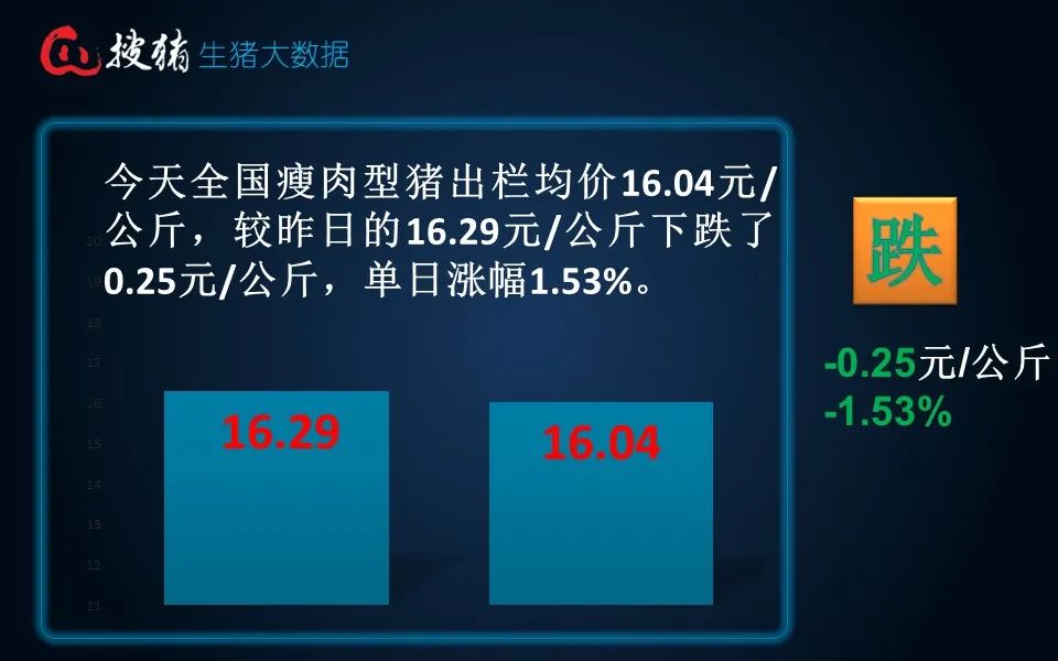 生猪现货日报|全国均价16.04元/公斤 市场集中出栏 屠宰大幅压价