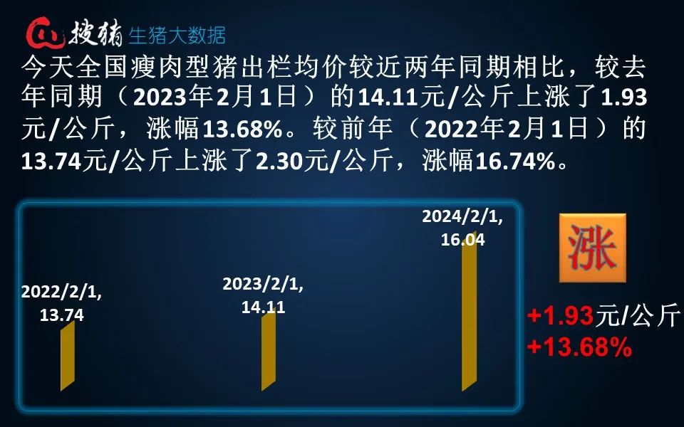 生猪现货日报|全国均价16.04元/公斤 市场集中出栏 屠宰大幅压价