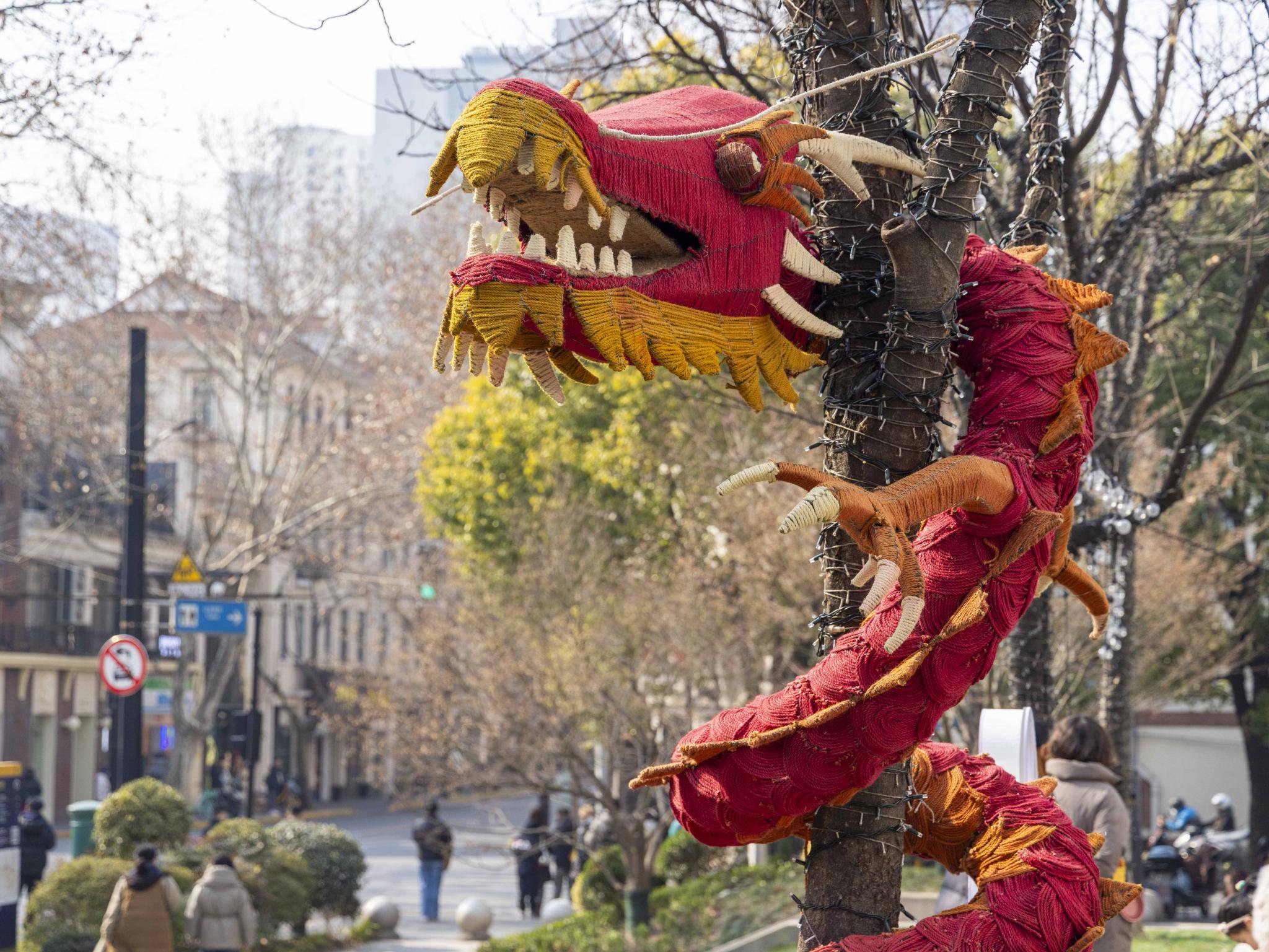 2024年1月28日,愚园路.一家咖啡馆前,一条"龙"盘旋在树上.