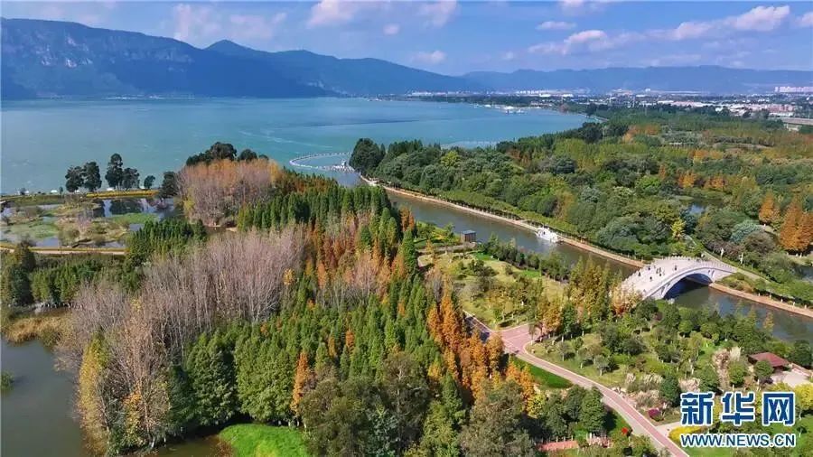 航拍昆明星海半岛湿地公园(1月8日摄).